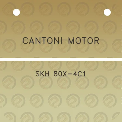 cantoni-motor-skh-80x-4c1