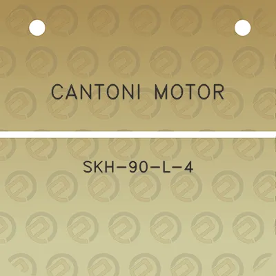 cantoni-motor-skh-90-l-4