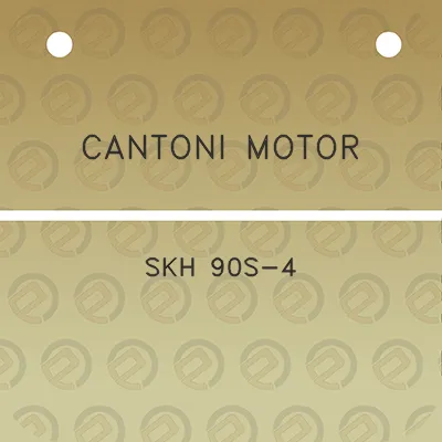 cantoni-motor-skh-90s-4