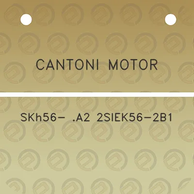 cantoni-motor-skh56-a2-2siek56-2b1