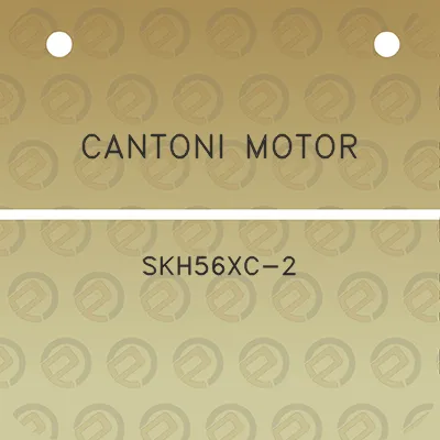 cantoni-motor-skh56xc-2