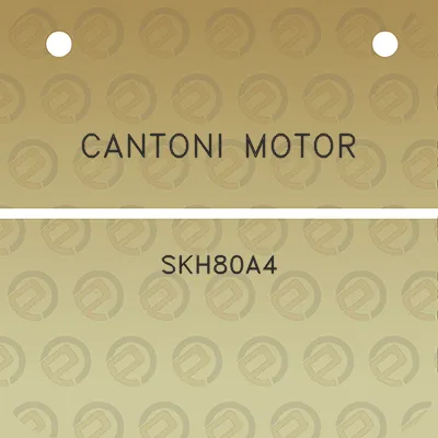 cantoni-motor-skh80a4