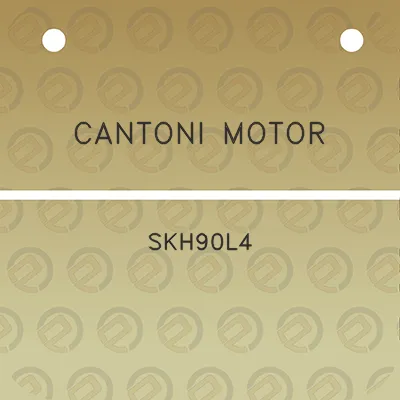 cantoni-motor-skh90l4