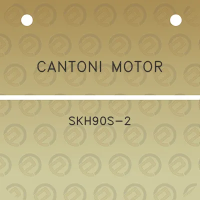 cantoni-motor-skh90s-2