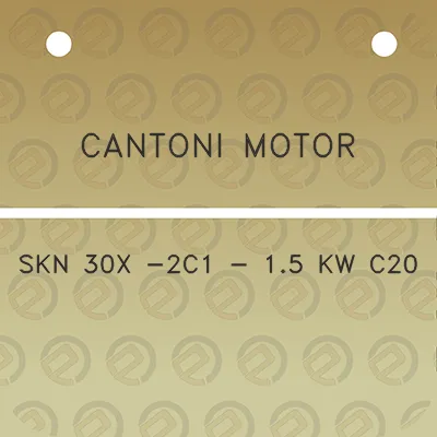 cantoni-motor-skn-30x-2c1-15-kw-c20