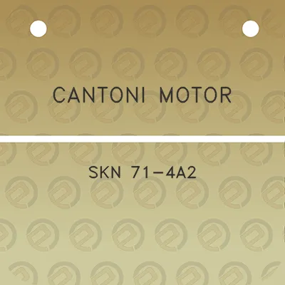 cantoni-motor-skn-71-4a2