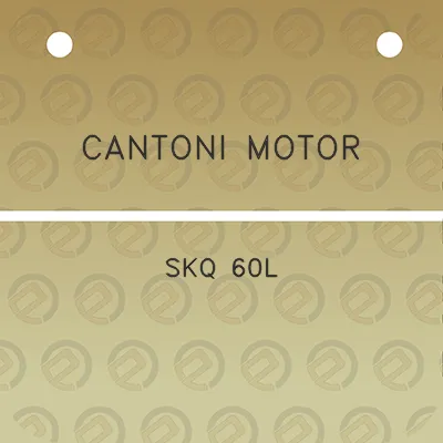 cantoni-motor-skq-60l