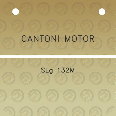 cantoni-motor-slg-132m