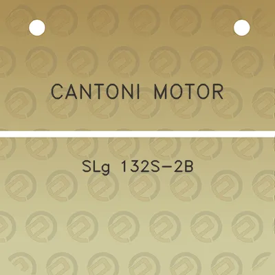 cantoni-motor-slg-132s-2b