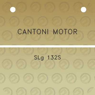 cantoni-motor-slg-132s