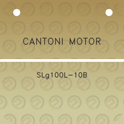 cantoni-motor-slg100l-10b