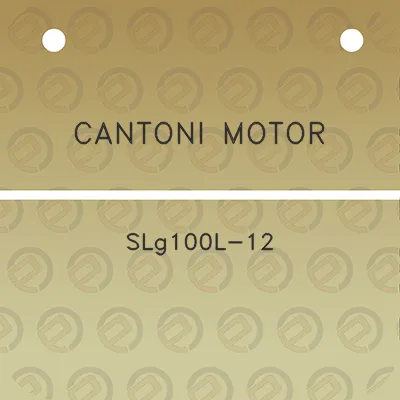 cantoni-motor-slg100l-12