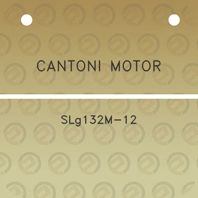 cantoni-motor-slg132m-12