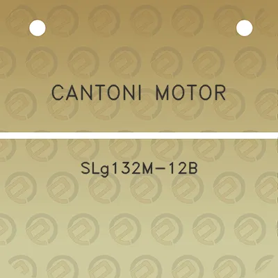 cantoni-motor-slg132m-12b