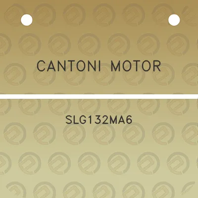 cantoni-motor-slg132ma6