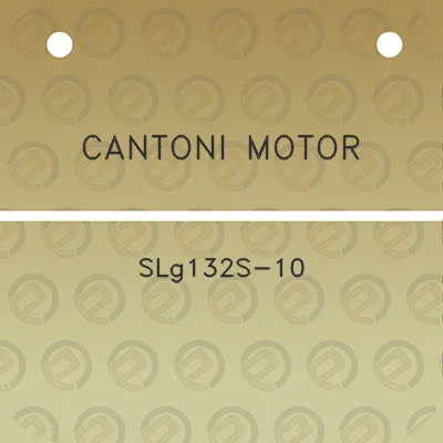 cantoni-motor-slg132s-10