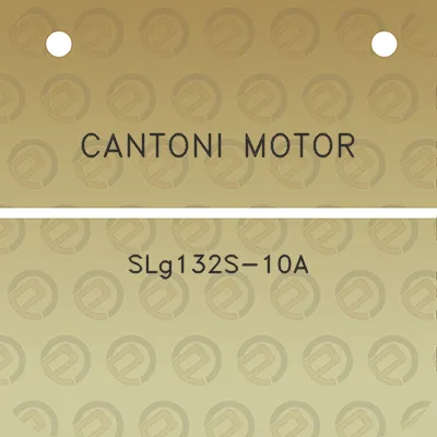 cantoni-motor-slg132s-10a