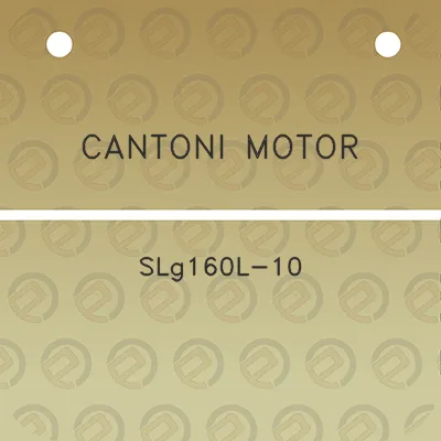 cantoni-motor-slg160l-10