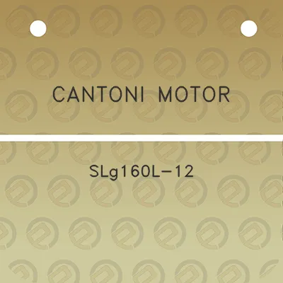 cantoni-motor-slg160l-12