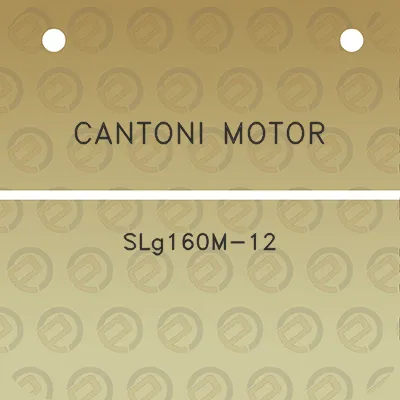 cantoni-motor-slg160m-12