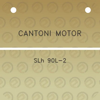 cantoni-motor-slh-90l-2