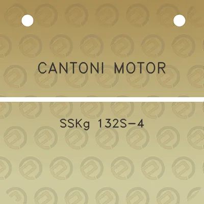 cantoni-motor-sskg-132s-4