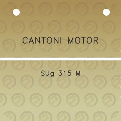 cantoni-motor-sug-315-m