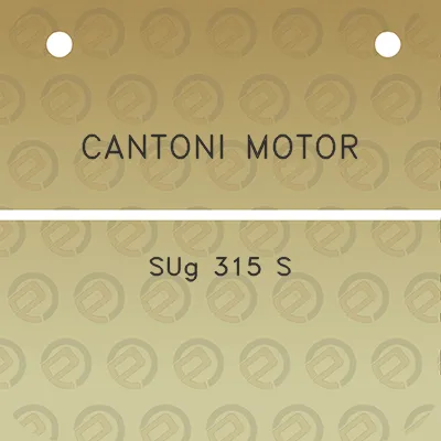 cantoni-motor-sug-315-s