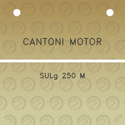 cantoni-motor-sulg-250-m