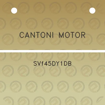 cantoni-motor-svf45dy1db