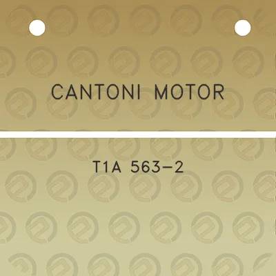 cantoni-motor-t1a-563-2