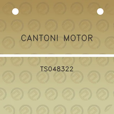 cantoni-motor-ts048322