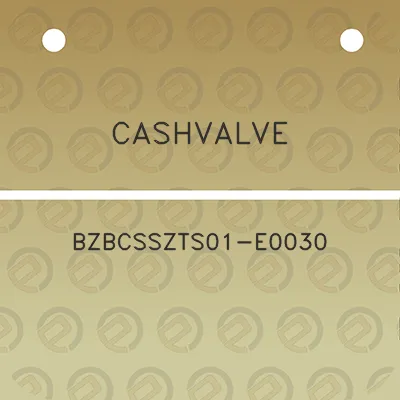 cashvalve-bzbcsszts01-e0030