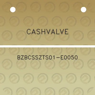 cashvalve-bzbcsszts01-e0050