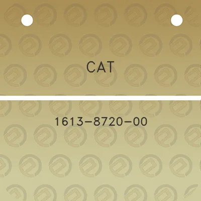 cat-1613-8720-00