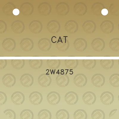 cat-2w4875