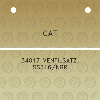 cat-34017-ventilsatz-ss316nbr