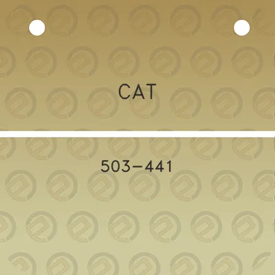 cat-503-441