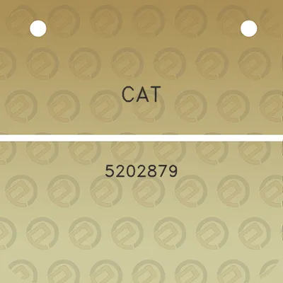 cat-5202879