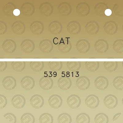 cat-539-5813