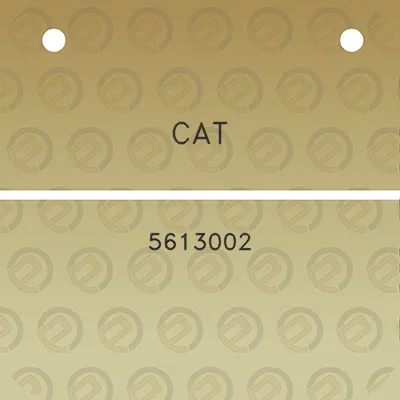 cat-5613002