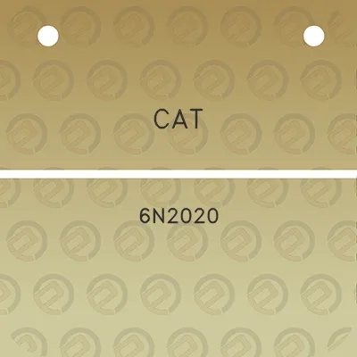 cat-6n2020