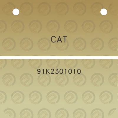 cat-91k2301010