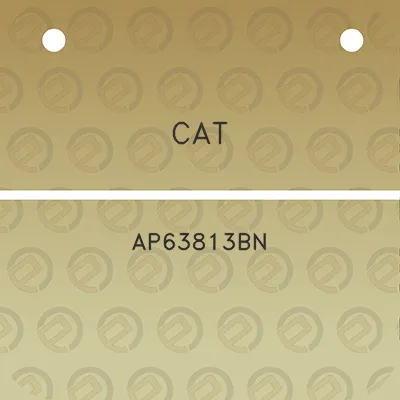 cat-ap63813bn