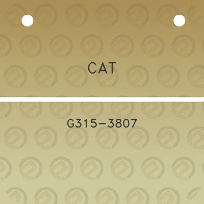 cat-g315-3807