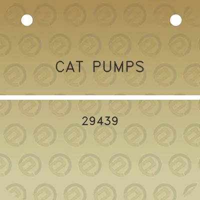 cat-pumps-29439