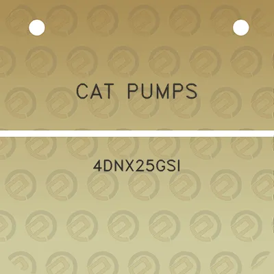 cat-pumps-4dnx25gsi