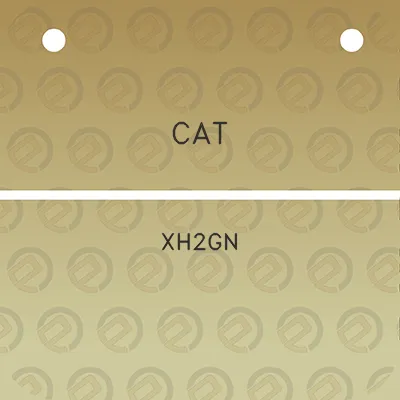 cat-xh2gn