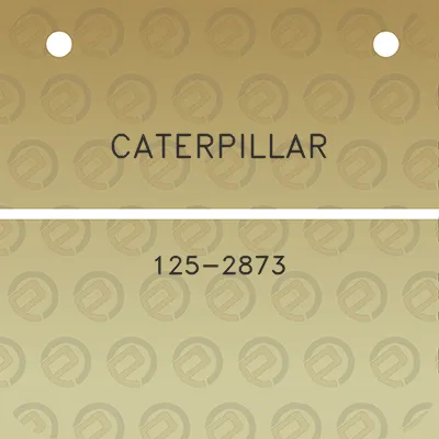 caterpillar-125-2873