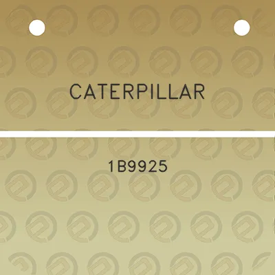 caterpillar-1b9925